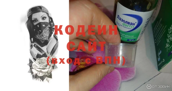 амф Няндома