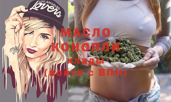 сатива Новодвинск