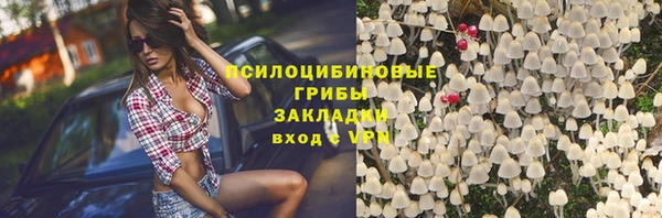 амф Няндома