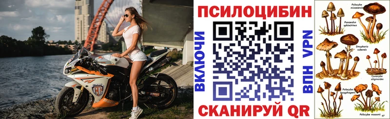 Галлюциногенные грибы мицелий  Зима 